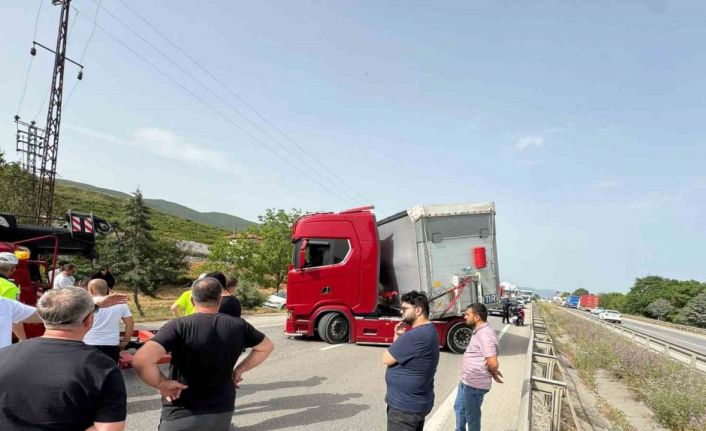 Bir arının yaptığına bak...Yüzlerce kişiyi mağdur etti