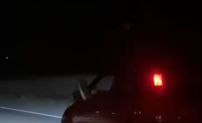 Bir ayağı camda bir ayağı gazda yolculuk kamerada