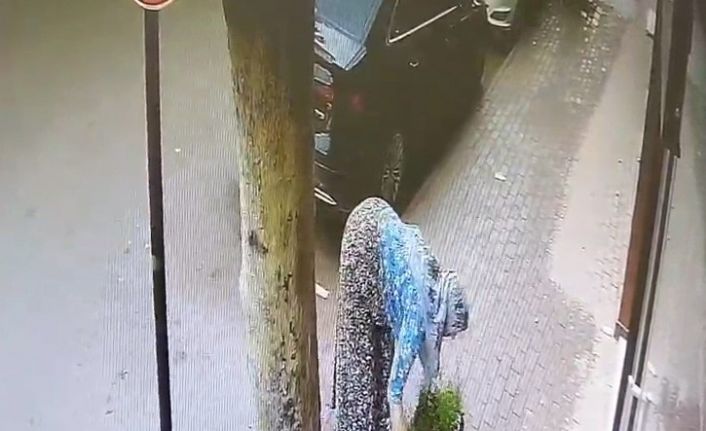 Bir kasa çiçeği böyle götürdü