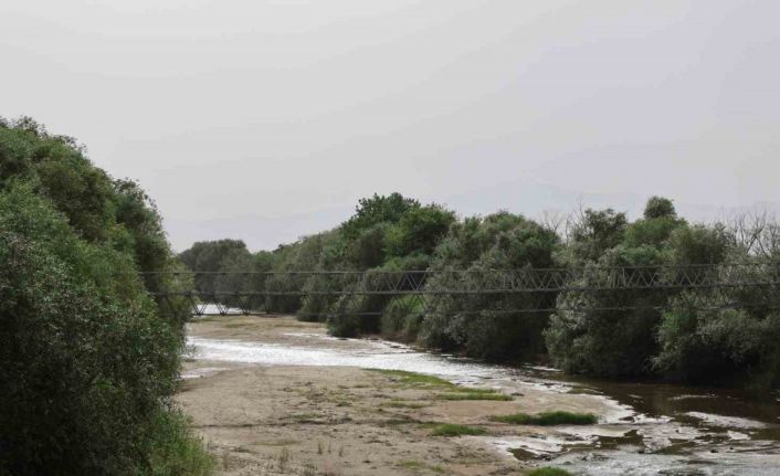 Bir zamanlar taşan Menderes şimdi suya hasret