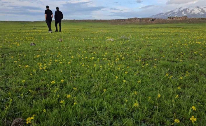 Bitlis’in saklı güzellikleri: Cil Gölü ve Sütey Yaylası