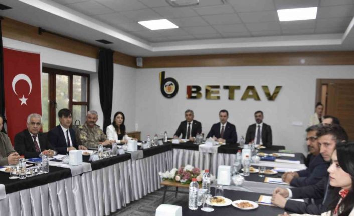 Bitlis’te "Beş Minare Uluslararası Film Festivali" düzenlenecek