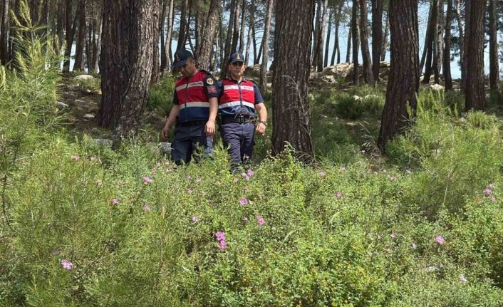 Bodrum’da ormanlara giriş yasaklandı, jandarma termal dronla kuş uçurtmuyor