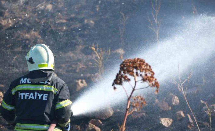Bodrum’da otluk alanda çıkan yangın 5 dekarlık alanı küle çevirdi