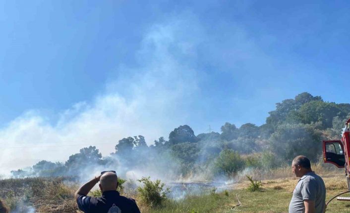 Bodrum’da zirai alan yangını