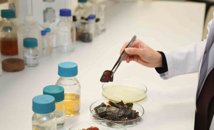 Bu ambalaj ürünlerin raf ömrünü uzatacak