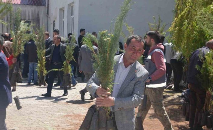 Bulanık’ta 5 bin çam fidanı dağıtıldı