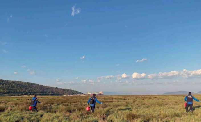 Büyükşehir Belediyesi’nden Güllük Mahallesi’nde 60 hektar alanda ilaçlama