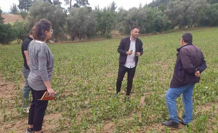 Büyükşehir’den dolu afetine karşı hızlı müdahale