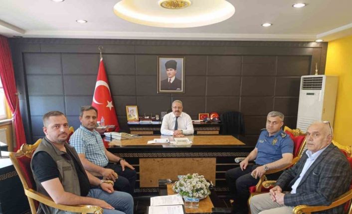 Çarşamba’da gündem sokak hayvanları