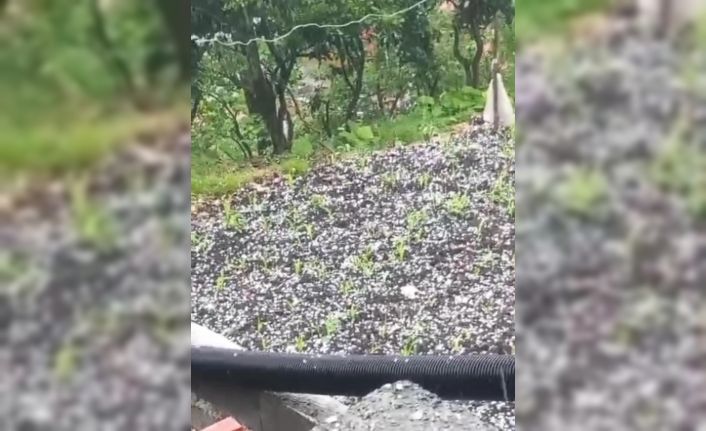 Çay üreticilerine dolu sürprizi