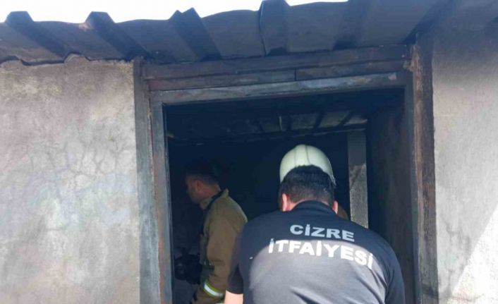 Cizre’de odunlukta çıkan yangın paniğe neden oldu