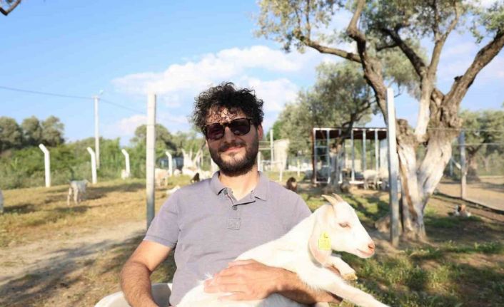 Çocuğuna taze süt içirmek için keçi aldı, kendisini çobanlık mesleğinin içinde buldu