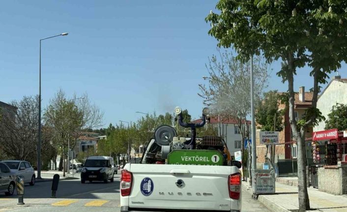 Çorum Belediyesi ekipleri vektörel mücadele için gece-gündüz sahada