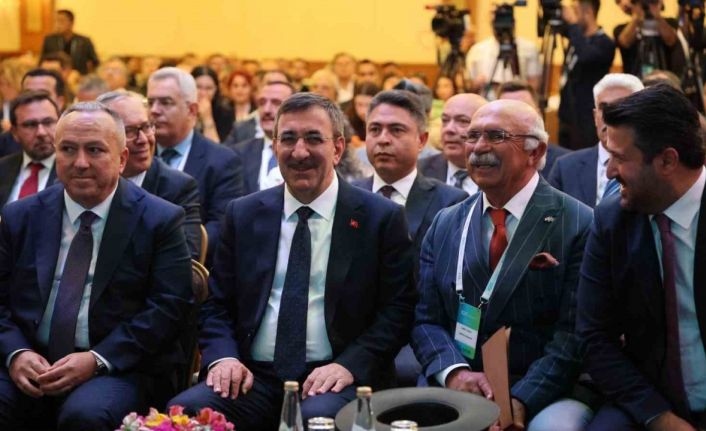 Cumhurbaşkanı Yardımcısı Yılmaz: "Cari açığımızın büyük bir bölümünün enerjiden kaynaklandığını görüyoruz"
