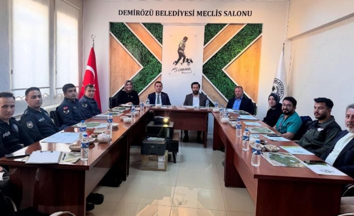 Demirözü’nde ilk kez ‘Kuşburnu Çiçeği Festivali’ yapılacak