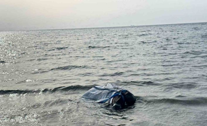 Denizden balık yerine angus çıktı