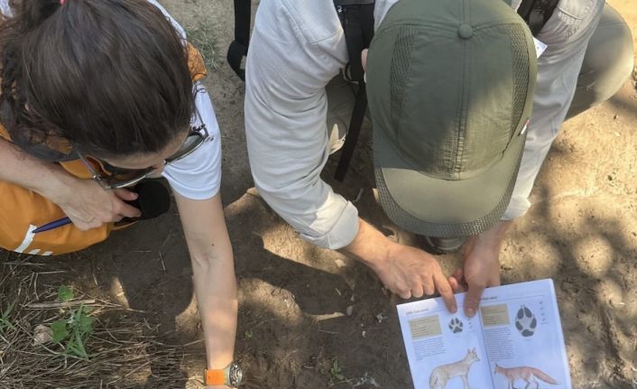 Diyarbakır’da Orman Anaokullarına Giriş Kursu düzenlendi