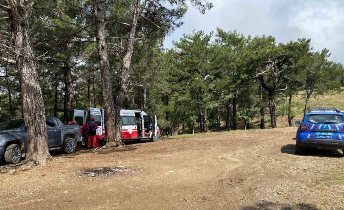 Doğa yürüyüşünde kaybolan Çevre ve Şehircilik İl Müdür Yardımcısı aranıyor