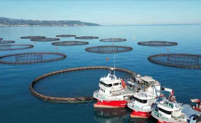 Doğu Karadeniz’de somon hasadı başladı