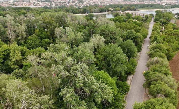 Edirne Millet Bahçesi’ne kavuşuyor