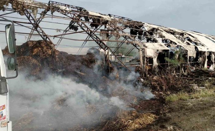 Edremit’te çiftlikte çıkan yangın itfaiye ekiplerince söndürüldü