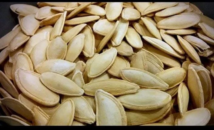 Erciyes’in eteklerinde kabak çekirdeği ekim sezonu başladı