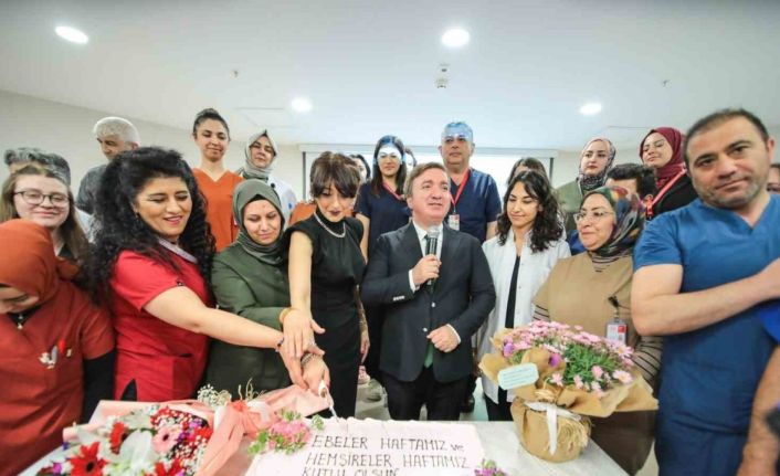 Erzincan’da Ebeler ve Hemşireler Haftası kutlandı