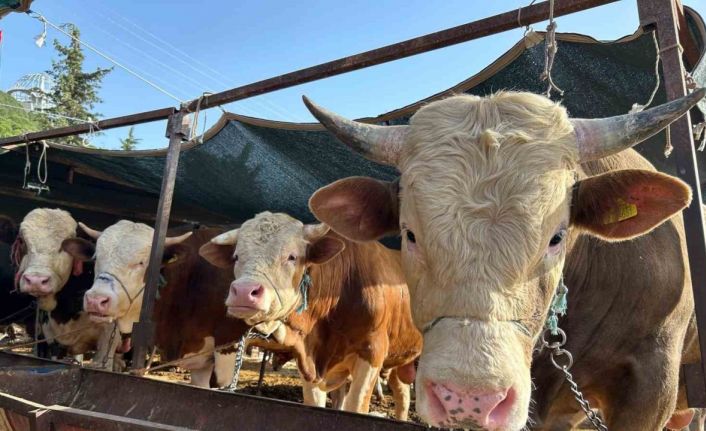 Erzincan’da kurban kesim yerleri açıklandı