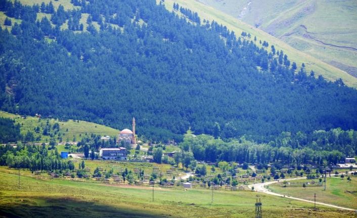 Erzurum’da "Orman Alanları, Ağaçlandırma ve Erozyon Kontrol Sahaları ile ilgili Valilik Genel Emri" yayınlandı