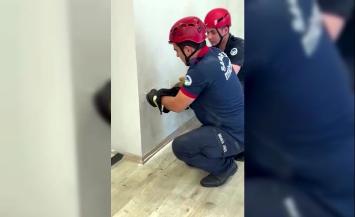 Fabrika duvarına sıkışan yavru kedinin imdadına itfaiye yetişti