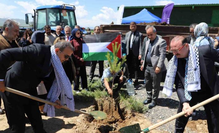 Gazze hatıra ormanında umut yeşerecek