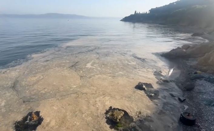 Gemlik’te müsilaj paniği