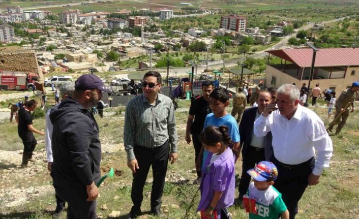 Gercüş’te Anneler Günü’ne armağan fidanlar toprakla buluşturuldu