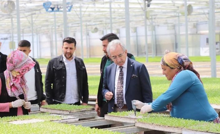Gölbaşı Karaali MTAL Tarım ve Hayvancılık Bölümü öğrencileri Beypazarı’nı ziyaret etti