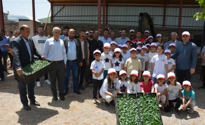 Güroymak’ta fide ve tohum dağıtımı yapıldı