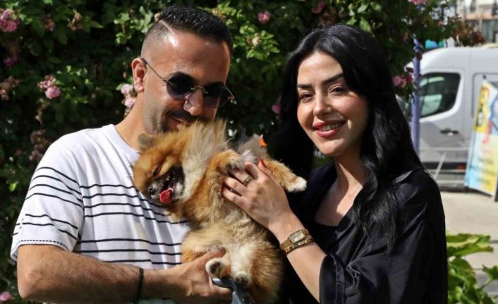 Güzellik yarışmasında birinci seçilip kaybolan köpek bulundu, sahipleri sevince boğuldu