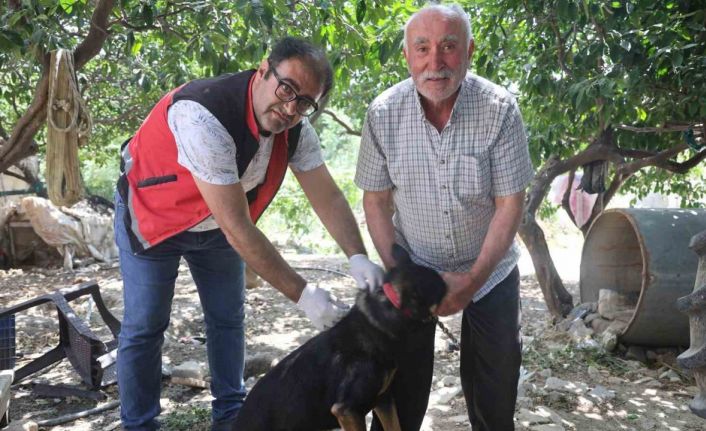 Hatay’da 4 mahallede kuduz karantinası