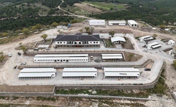 Hayvan Yaşam Merkezi açılıyor