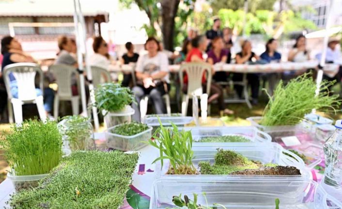 Heykeller yeşerdi, minyatür bahçeler ortaya çıktı