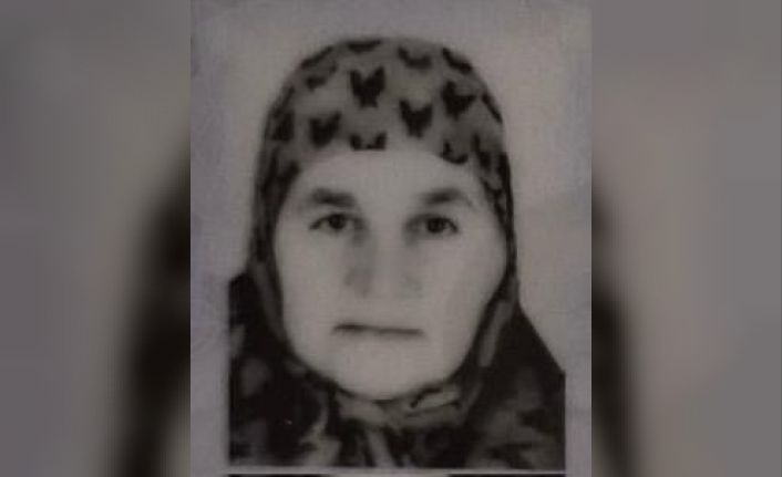 Iğdır’da iki yengesini öldüren zanlı arazide yakalandı