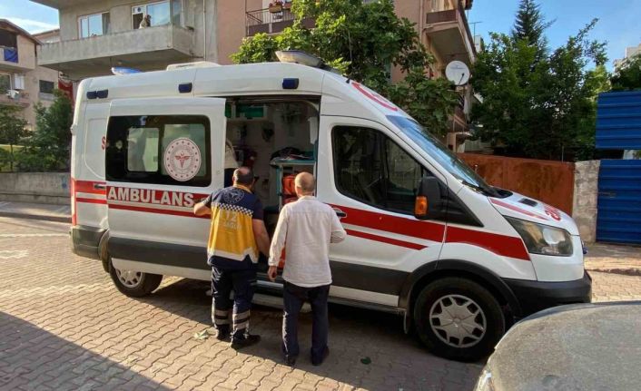 Ihlamur toplamak için çıktığı ağaçtan düşerek demir korkuluklara saplandı