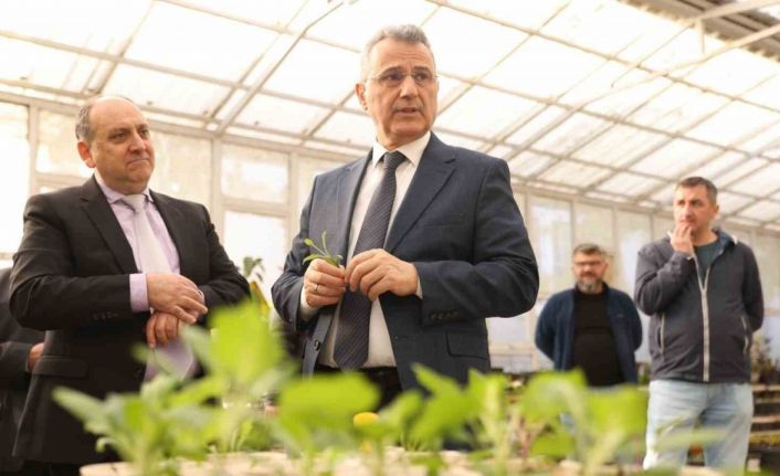 İlkadım’da aromatik bitkiler yaygınlaşıyor