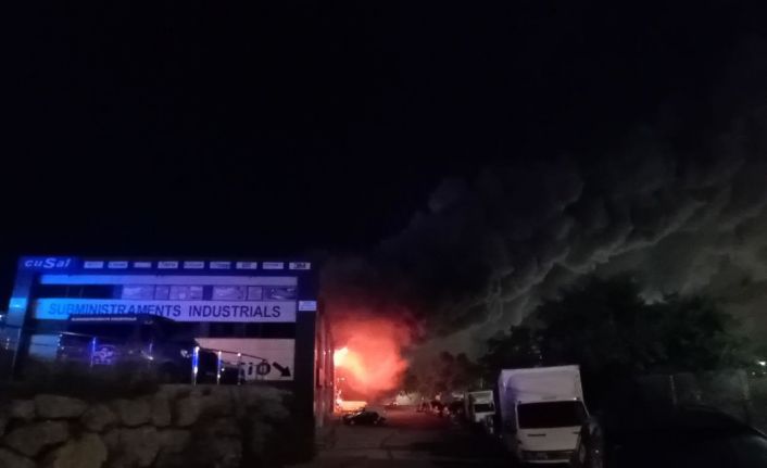 İspanya’da sanayi bölgesindeki yangın sırasında zehirli klor yayıldı