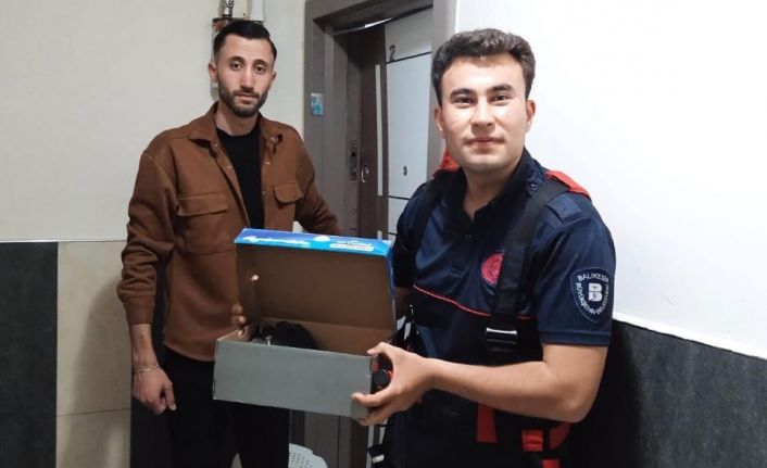 İtfaiye erleri kurtardıkları karga yavrularını elleriyle besledi