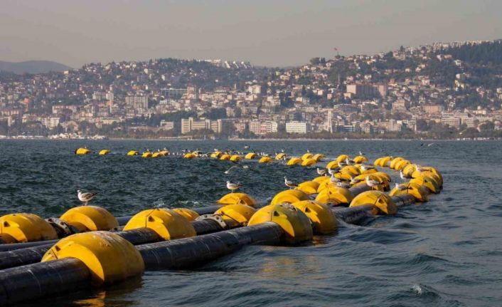 İzmit Körfezi’nde temizlik çalışmaları sonuç verdi: 2 saatte 100 kiloluk mırmır yakalandı