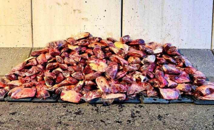 Jandarma 1 ton 700 kilo mühürsüz et ele geçirdi