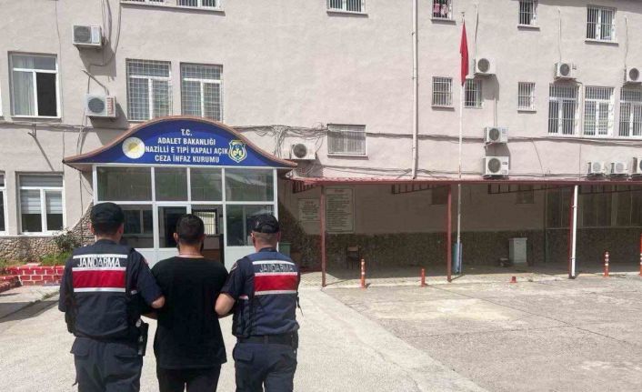 Jandarmadan aranan şahıslar operasyonu