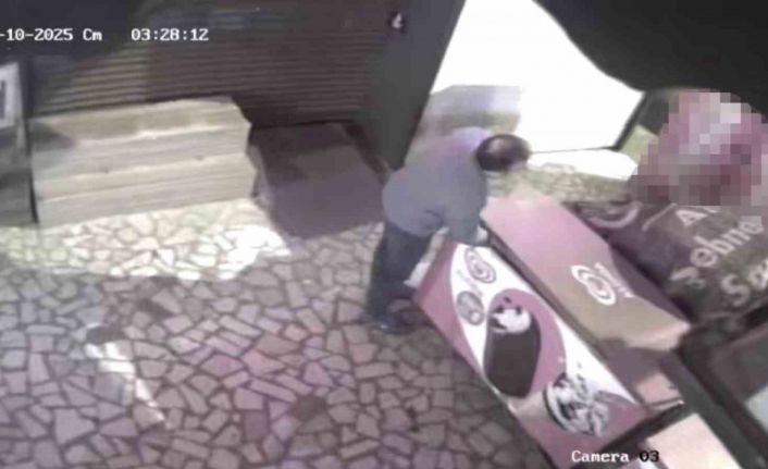Kadıköy’de kuruyemişçiden dondurma hırsızlığı kamerada
