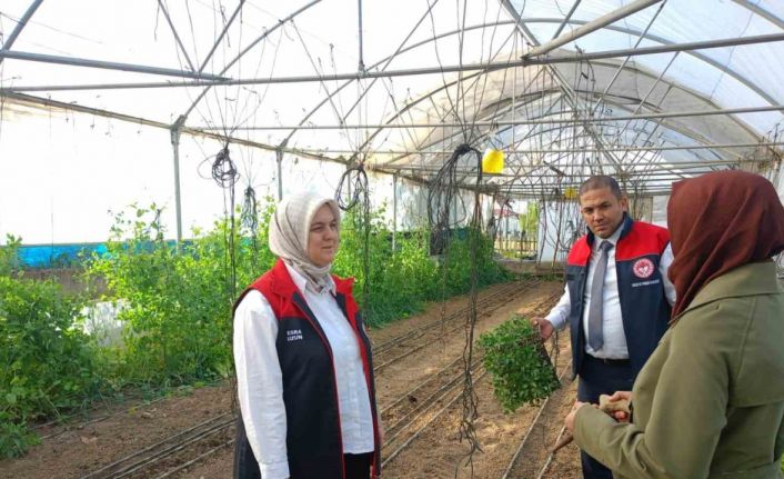 Kadın çiftçiye destek